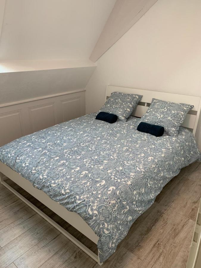 Historical Town Center Spacious Flat Кольмар Экстерьер фото