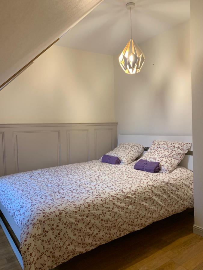 Historical Town Center Spacious Flat Кольмар Экстерьер фото