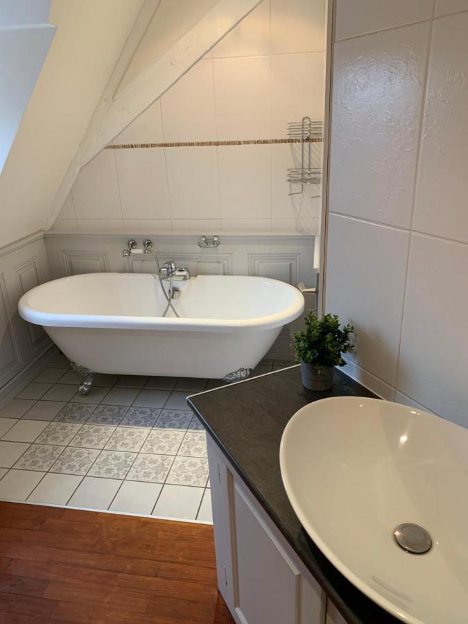 Historical Town Center Spacious Flat Кольмар Экстерьер фото