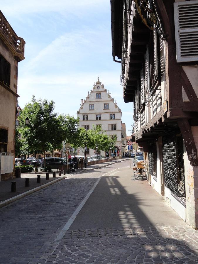 Historical Town Center Spacious Flat Кольмар Экстерьер фото
