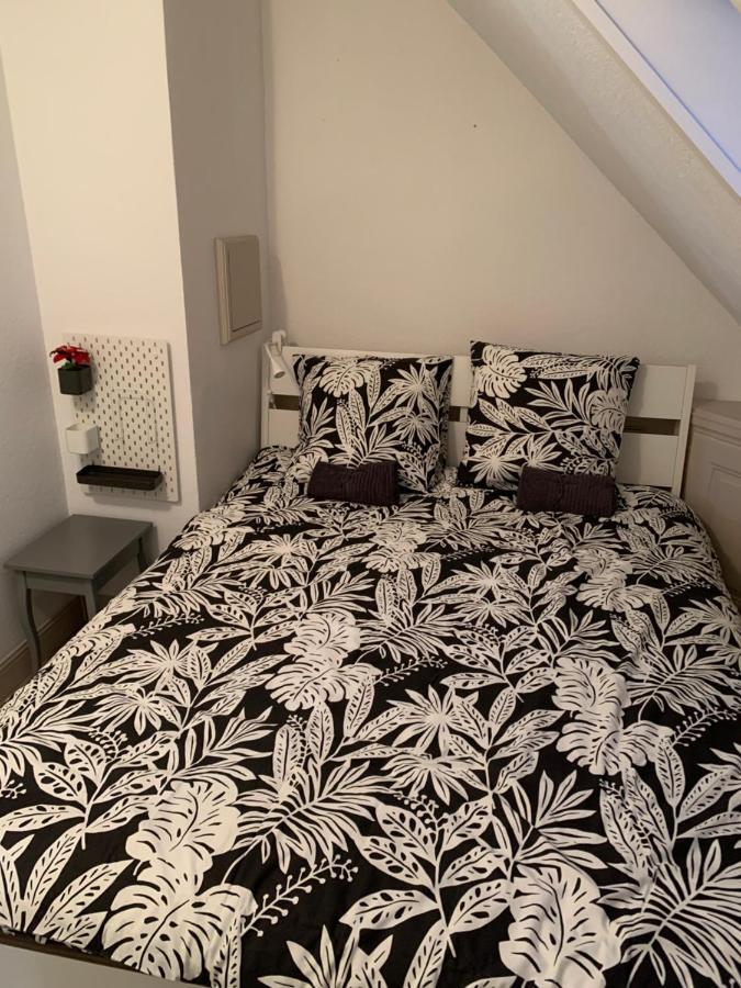 Historical Town Center Spacious Flat Кольмар Экстерьер фото
