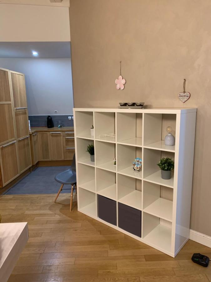 Historical Town Center Spacious Flat Кольмар Экстерьер фото