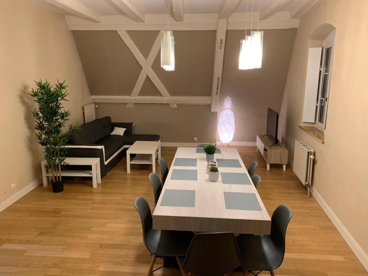 Historical Town Center Spacious Flat Кольмар Экстерьер фото