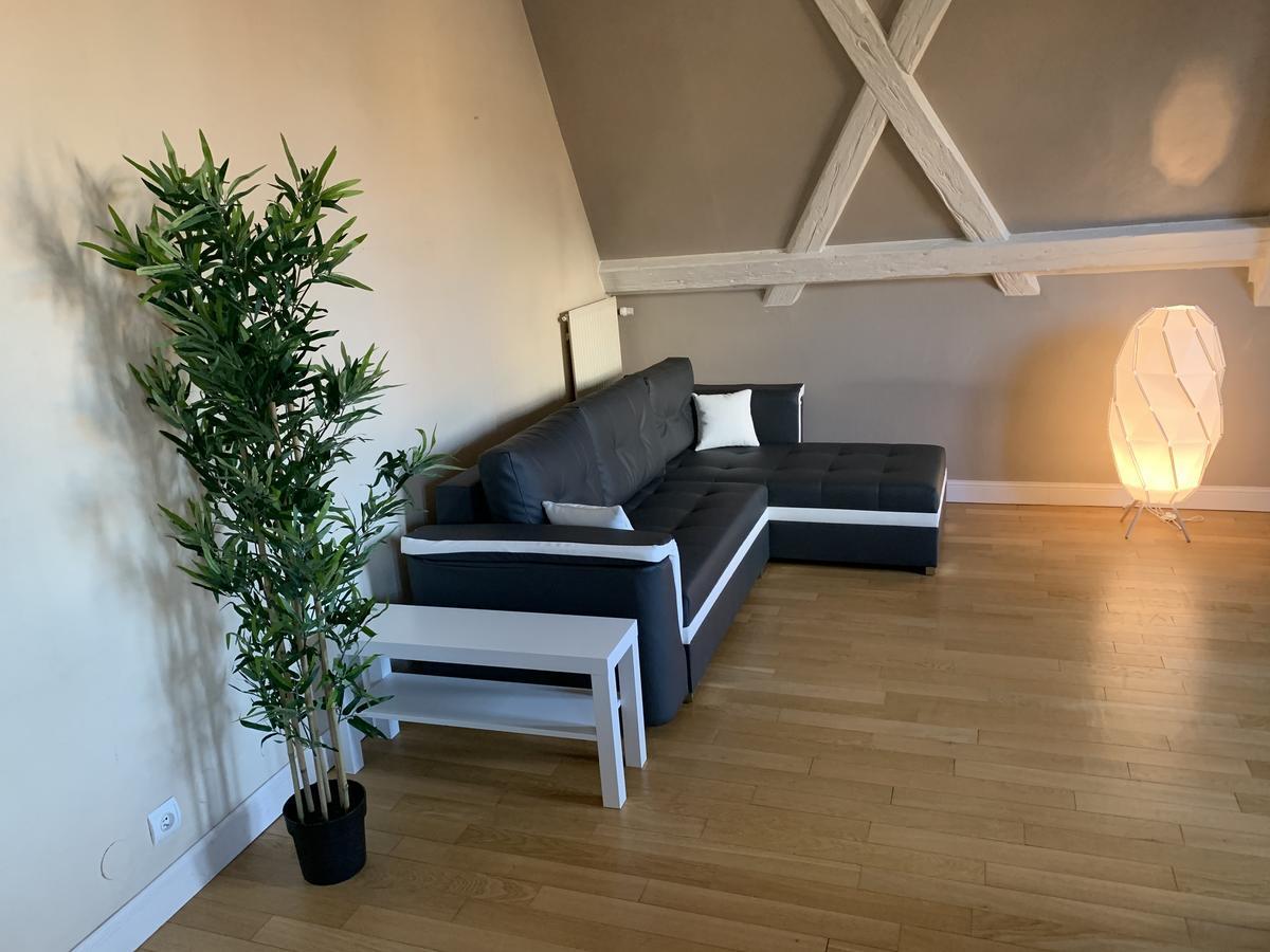 Historical Town Center Spacious Flat Кольмар Экстерьер фото
